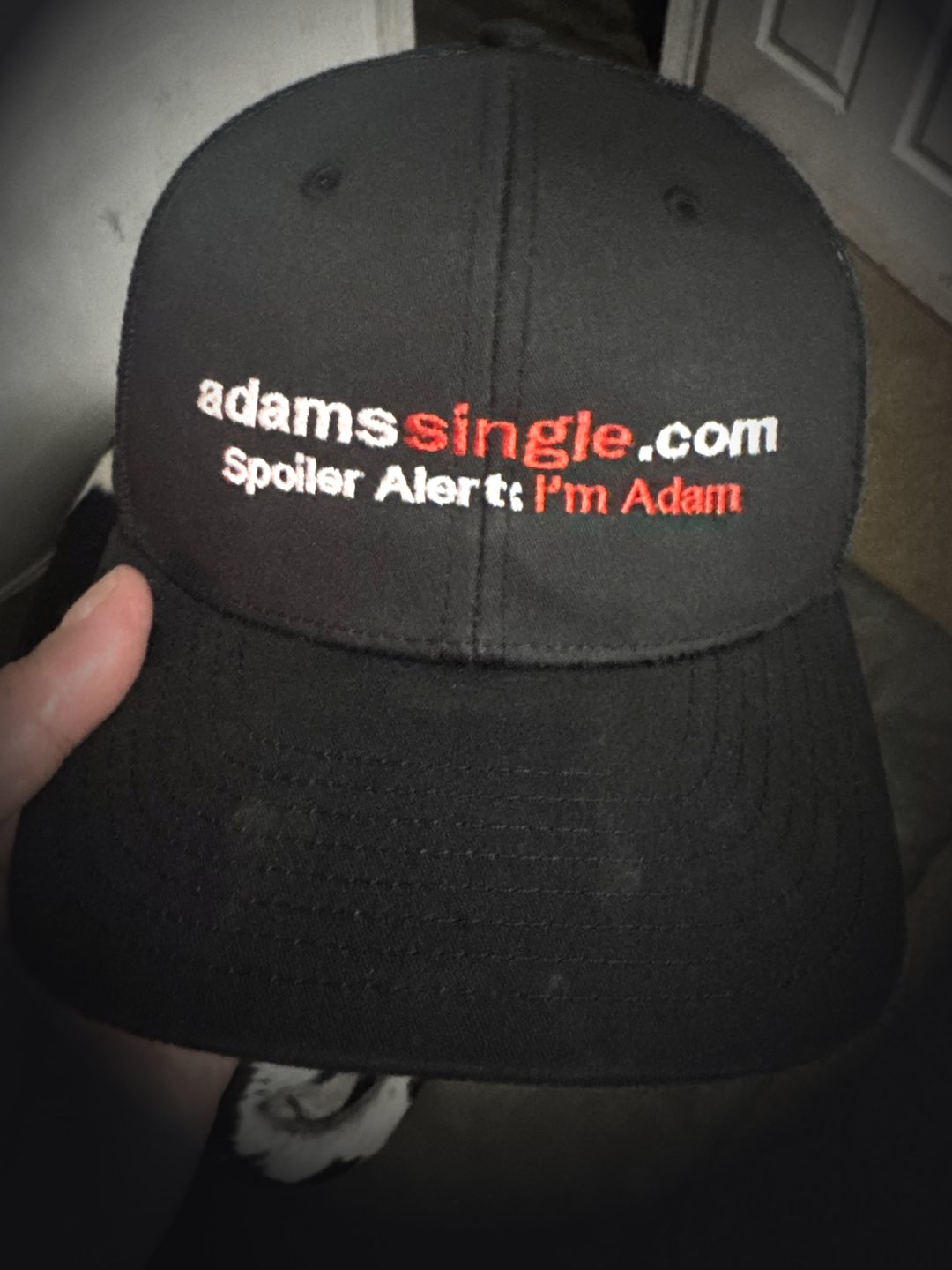 The actual hat: a black cap embroidered adamssingle.com, with Spoiler Alert: I'm Adam underneath.